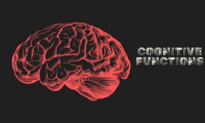 cognitive functions