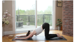 Yoga for Stress Free Life